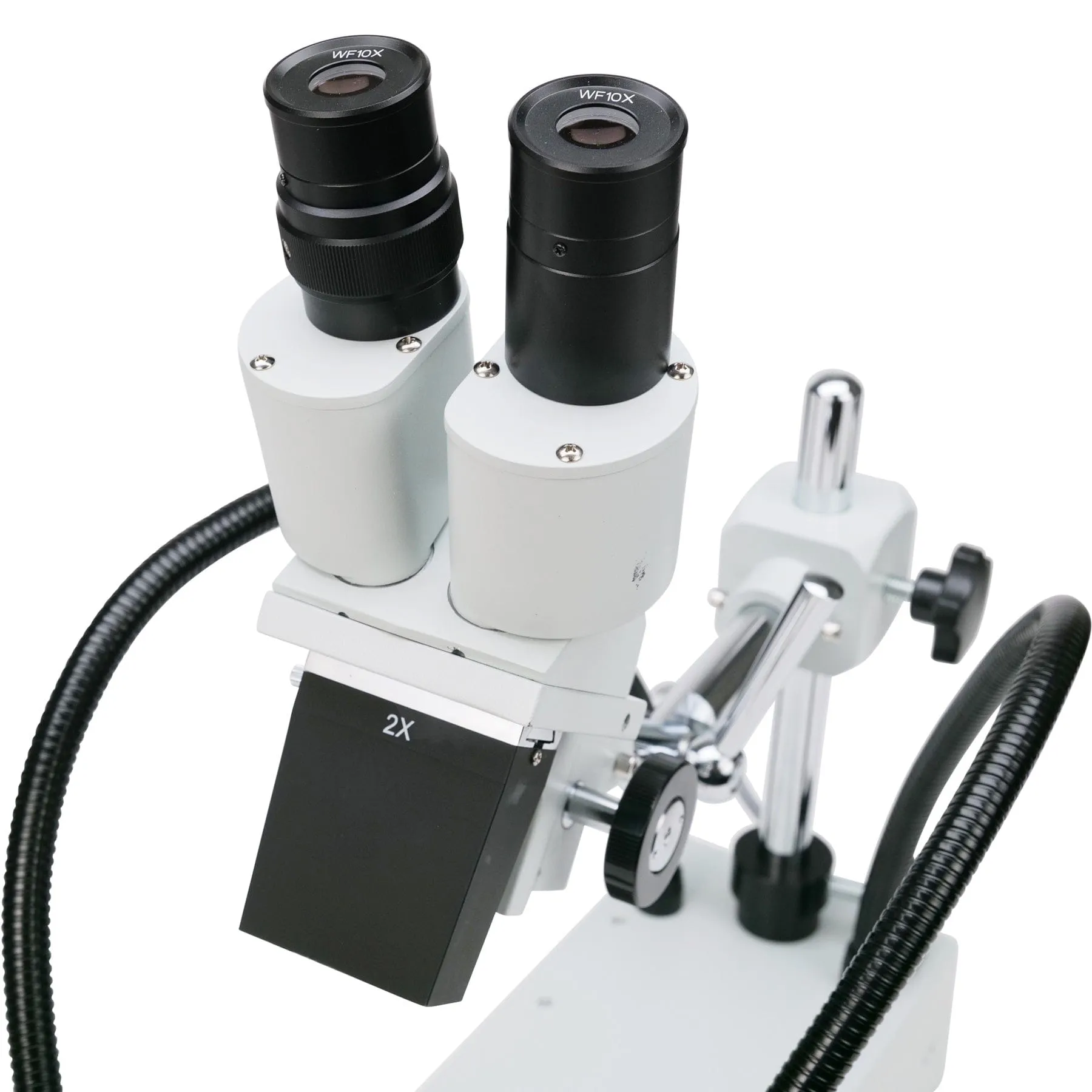 AmScope SE420 Series Compact Fixed-Lens Binocular Stereo Microscope 20X-30X Magnification on Boom-Arm Stand with Dual Gooseneck LED Lights